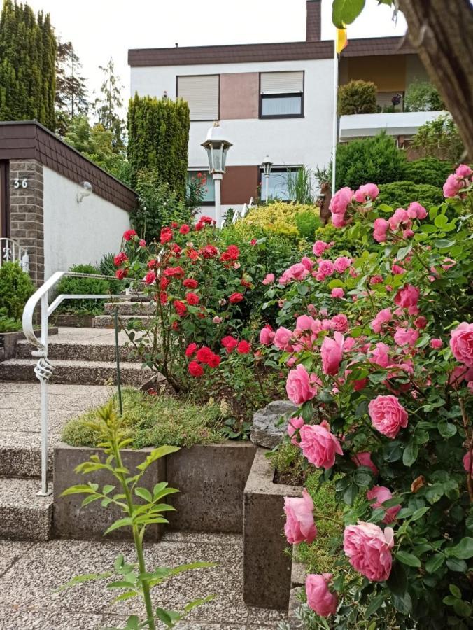 Apartments Gala, Ruhige Lage, Stadtnah Μπαντ Κίσινγκεν Εξωτερικό φωτογραφία