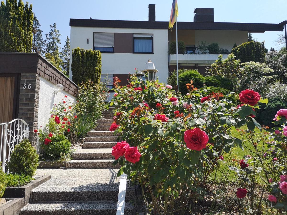 Apartments Gala, Ruhige Lage, Stadtnah Μπαντ Κίσινγκεν Εξωτερικό φωτογραφία